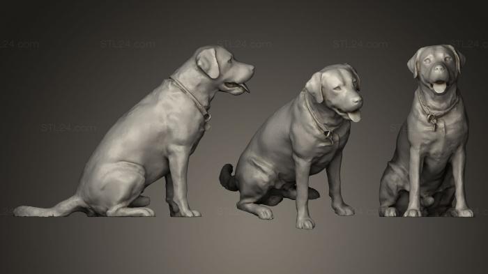 Animal figurines (DOG A46, STKJ_0230) 3D models for cnc